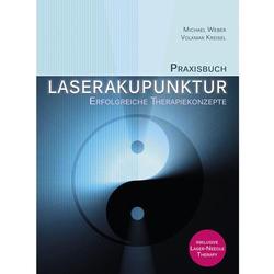 Praxisbuch Laserakupunktur V. Kreisel M. Weber
