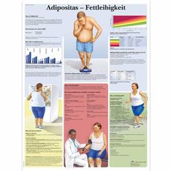 Lehrtafel - Adipositas - Fettleibigkeit