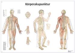 Lehrtafel - Körperakupunktur Laminiert