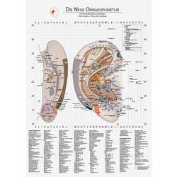 Lehrtafel - Ohrakupunktur