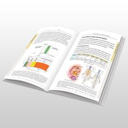 Laserakupunktur und Laser-Ohrakupunktur / Bild 4