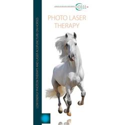 Flyer Laser Therapy Vet Horse
