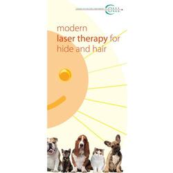 Flyer Laser Therapy  Vet Small Animals