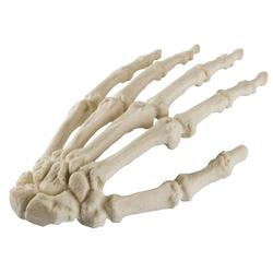 Hand, ORTHObones STANDARD / Bild 2