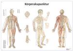 Körperakupunktur Poster,  Papier / Bild 1